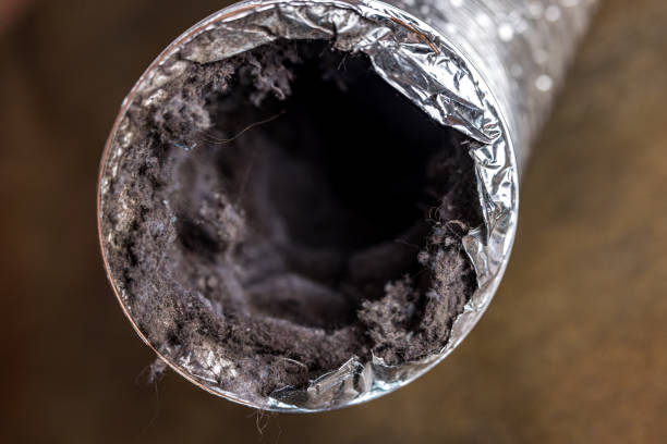 Best HVAC Duct Inspection Services  in Morton, MS