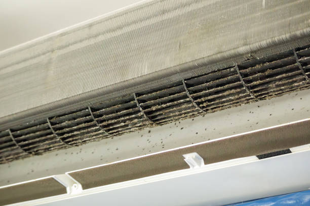 Best Professional Duct Cleaning Services  in Morton, MS