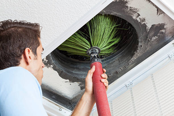 Best Ductwork Cleaning Services  in Morton, MS