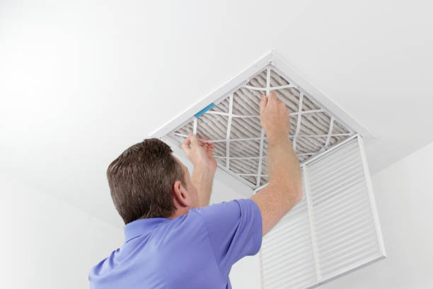 Best Professional Duct Cleaning Services  in Morton, MS